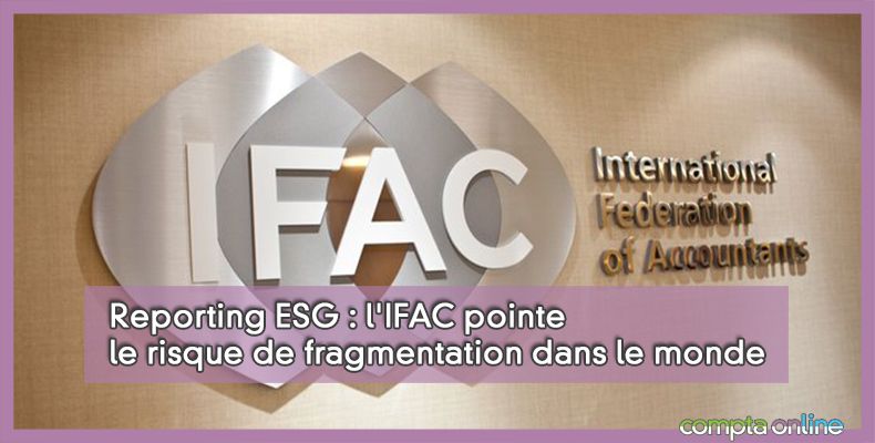 Reporting ESG IFAC