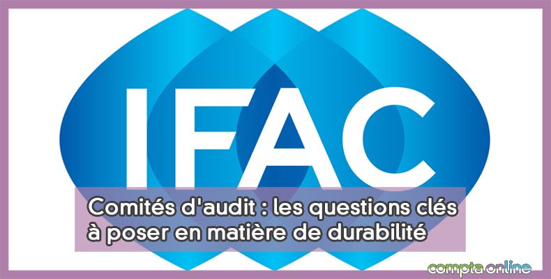 Comités d'audit : les questions clés à poser en matière de durabilité