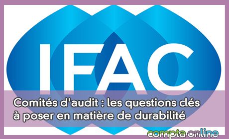 Comits d'audit : les questions cls  poser en matire de durabilit