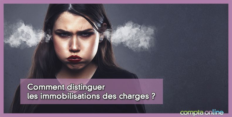 Immobilisations ou charges