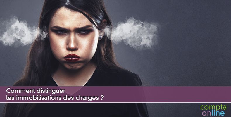 Comment distinguer les immobilisations des charges ?