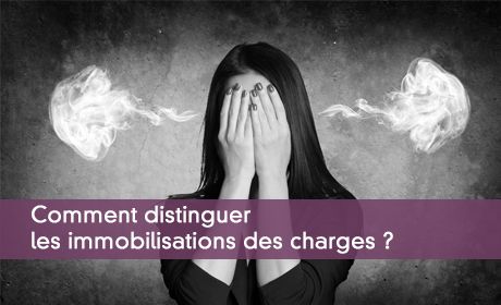 Les immobilisations