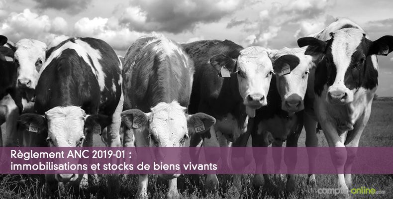 Rglement ANC 2019-01 : immobilisations et stocks de biens vivants