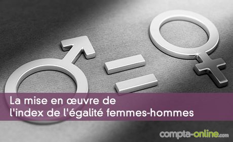 La mise en uvre de l'index de l'galit femmes-hommes