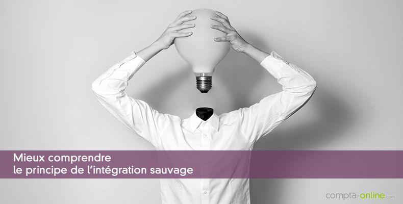 Mieux comprendre le principe de l'intégration sauvage