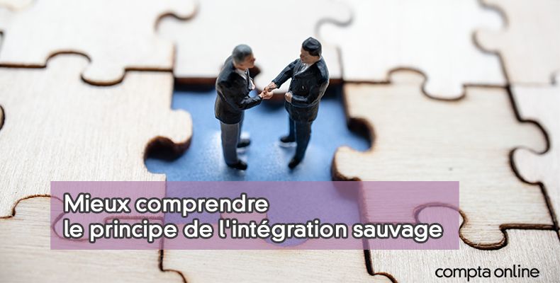 Intégration sauvage