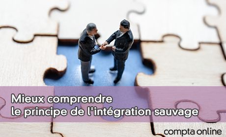 Mieux comprendre le principe de l'intgration sauvage