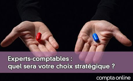 Experts-comptables : quel sera votre choix stratgique ?