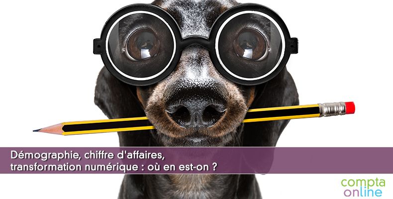 Démographie, chiffre d'affaires, transformation numérique : où en est-on ?