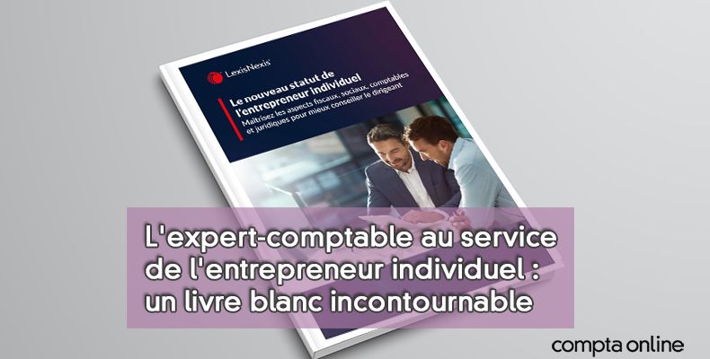 Entrepreneur individuel