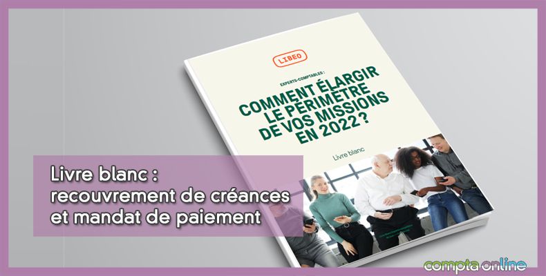 Livre blanc : recouvrement de crances et mandat de paiement