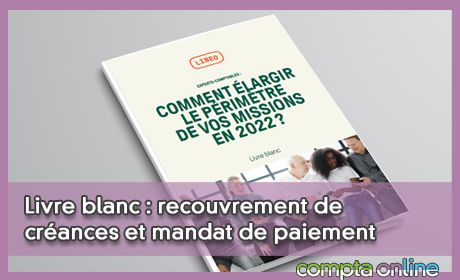 Livre blanc : recouvrement de crances et mandat de paiement