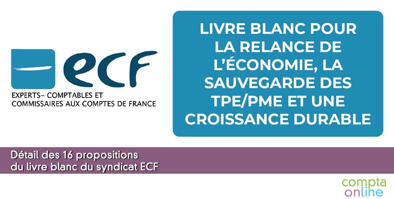 Détail des 16 propositions d'ECF