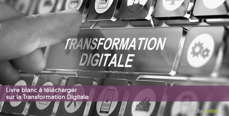 Livre blanc à télécharger sur la Transformation Digitale