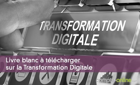 Livre blanc à télécharger sur la Transformation Digitale