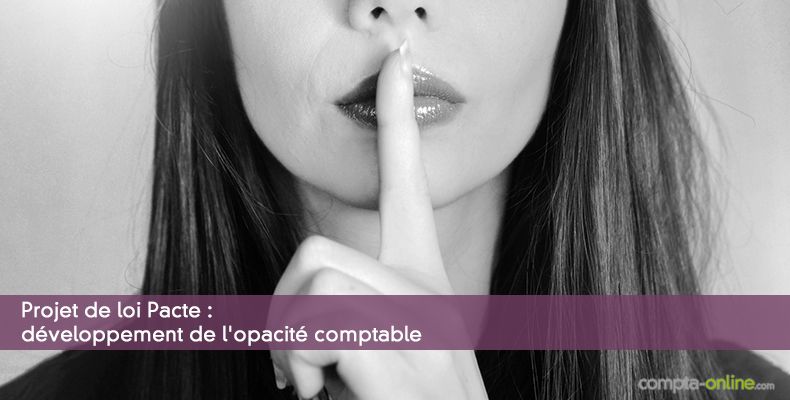 Projet de loi Pacte : développement de l'opacité comptable