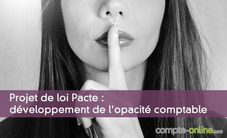 Projet de loi Pacte : dveloppement de l'opacit comptable