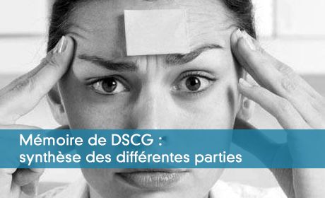 Mémoire de DSCG : synthèse des différentes parties