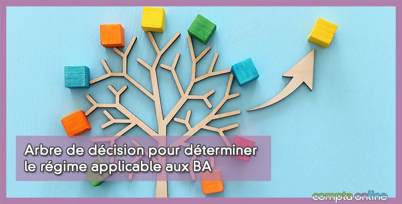 Régime Micro-BA