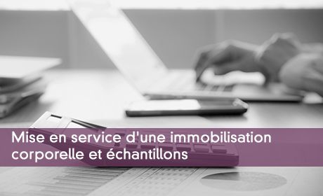 Mise en service d'une immobilisation corporelle et échantillons