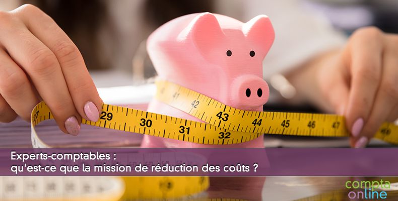 Qu'est-ce que la mission de réduction des coûts ?