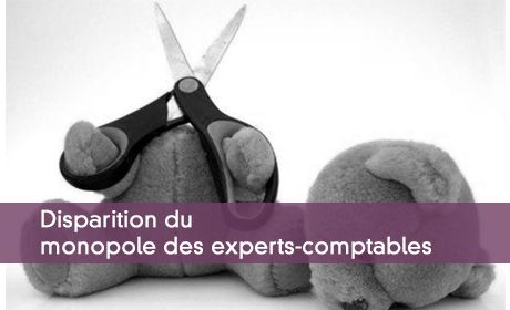 Monopole des experts-comptables