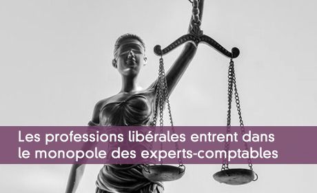 Les professions libérales entrent dans le monopole des experts-comptables