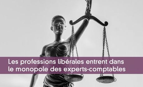 Les professions librales entrent dans  le monopole des experts-comptables