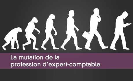 La grenouille, le lapin et la girafe ou les experts-comptables face aux mutations