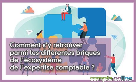 Comment s'y retrouver parmi les diffrentes briques de l'cosystme de l'expertise comptable ?