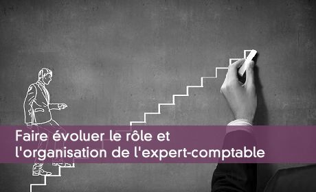 Faire voluer le rle et l'organisation de l'expert-comptable