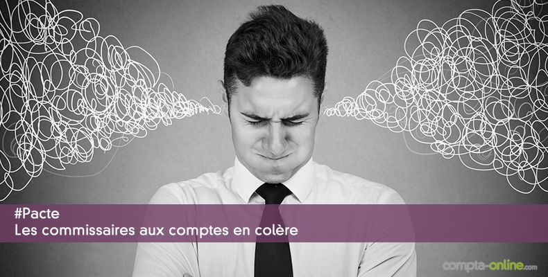 #Pacte Les commissaires aux comptes en colère