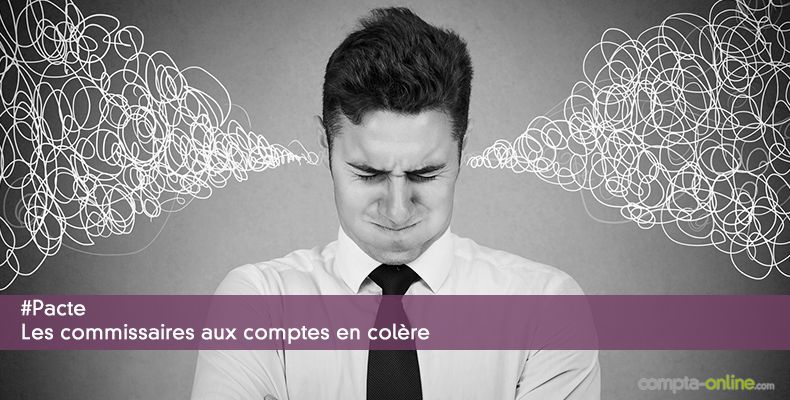 #Pacte Les commissaires aux comptes en colre