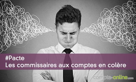 #Pacte Les commissaires aux comptes en colère
