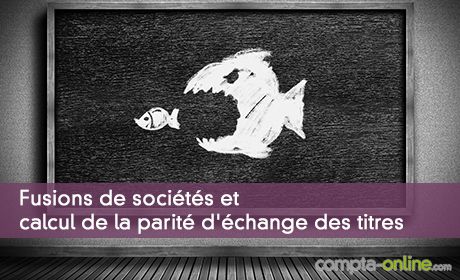 Fusions de sociétés et calcul de la parité d'échange des titres
