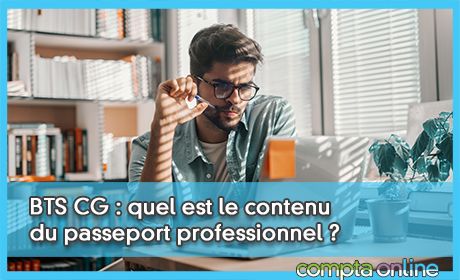 BTS CG : quel est le contenu du passeport professionnel ?