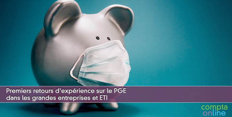 Premiers retours d'exprience sur le PGE dans les grandes entreprises et ETI