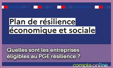 Quelles sont les entreprises ligibles au PGE rsilience ?