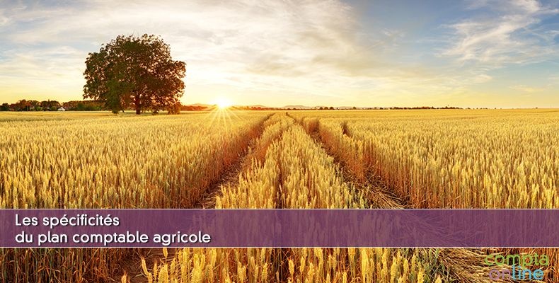 Plan comptable agricole