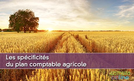 Les spcificits du plan comptable agricole