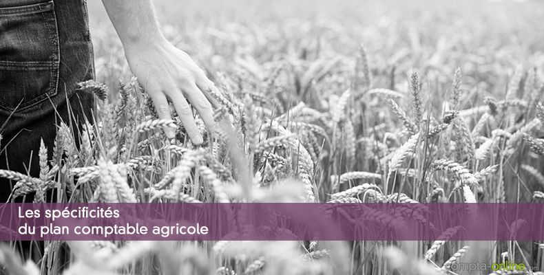 Les spécificités du plan comptable agricole