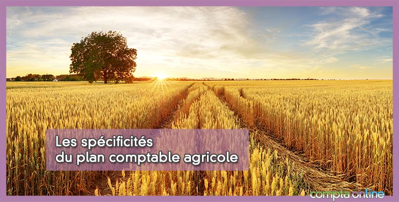 Plan comptable agricole