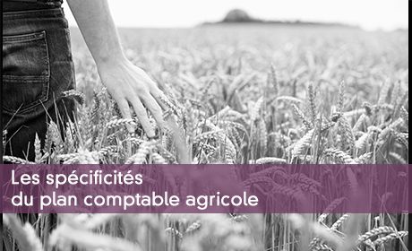 Les spécificités du plan comptable agricole