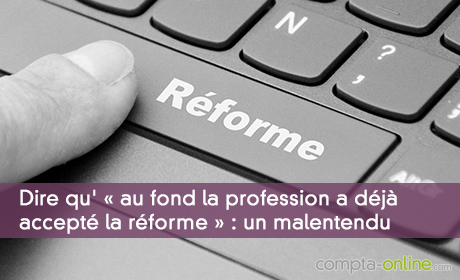 Dire qu' « au fond la profession a déjà accepté la réforme » : un malentendu