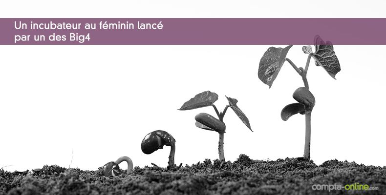 Un incubateur au féminin lancé par un des Big4