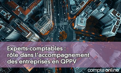 Experts-comptables : rle dans l'accompagnement des entreprises en QPPV