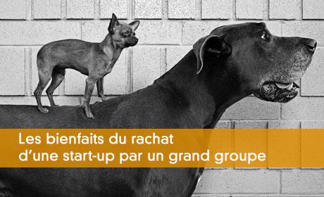 Les bienfaits du rachat d'une start-up par un grand groupe