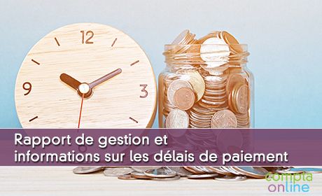 Rapport de gestion et informations sur les dlais de paiement