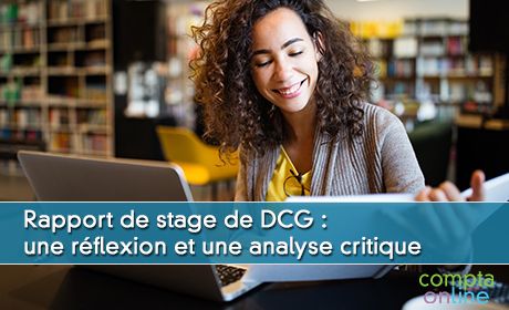 Rapport de stage de DCG : une rflexion et une analyse critique
