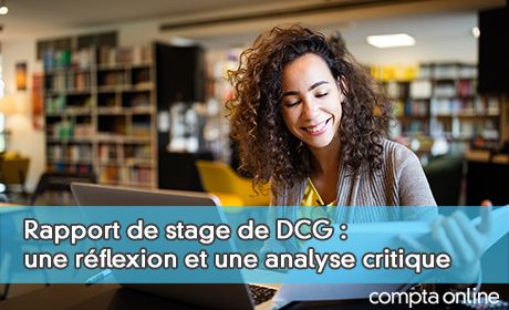 Rapport de stage de DCG : une r�flexion et une analyse critique